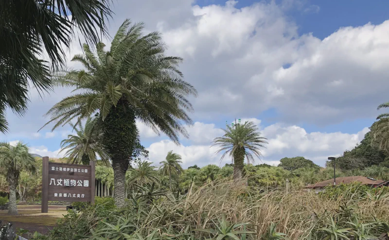 八丈植物公園の入口看板とヤシの木