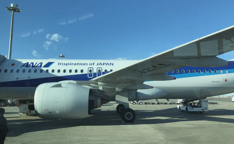 間近に見えるANA機の主翼とエンジン