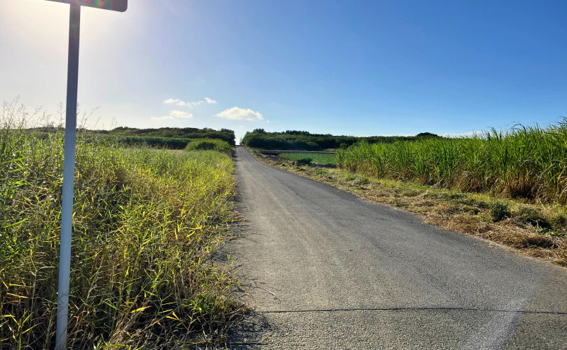 サトウキビ畑の間をまっすぐ延びる島内の道路